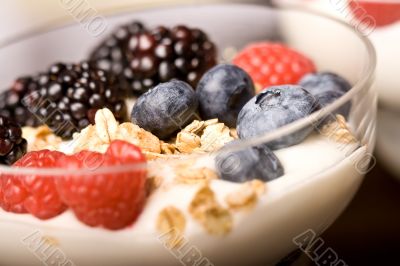 fresh fruit