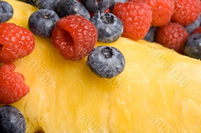 fruittime