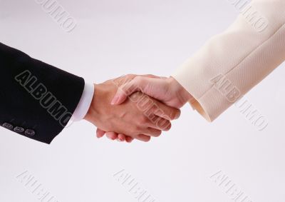 Business handshake