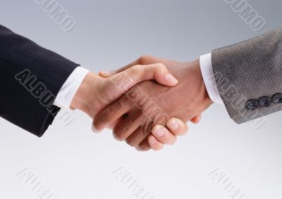 Business handshake