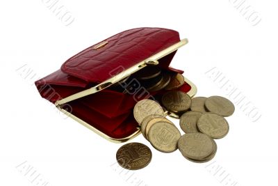 red wallet and ukrainian hrivna coins