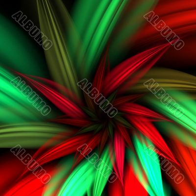 Poinsettia Fractal