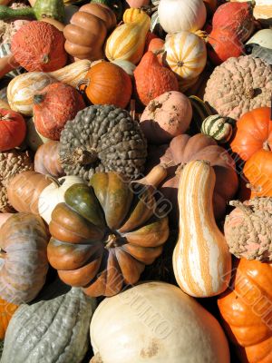Harvest