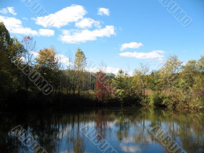 Pond in a fall