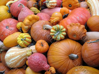 Harvest