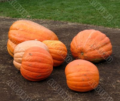 Pumpkins