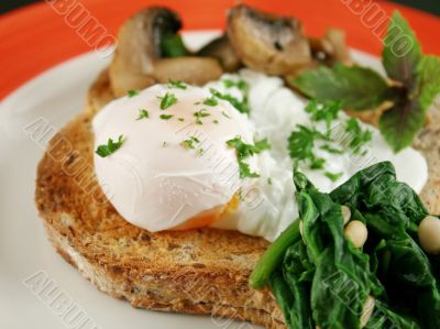 Poached Egg Breakfast 2