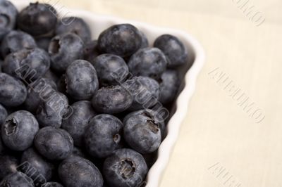 blueberry