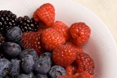 fruittime