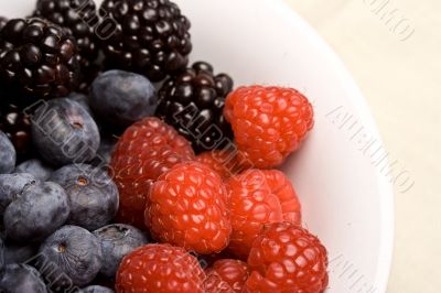 fruittime