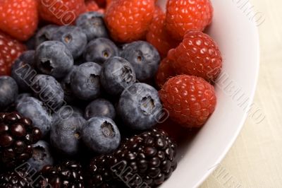 fruittime