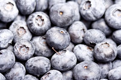 blueberry