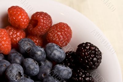 fruittime