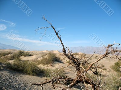 Sand dunes, Death Valley, California