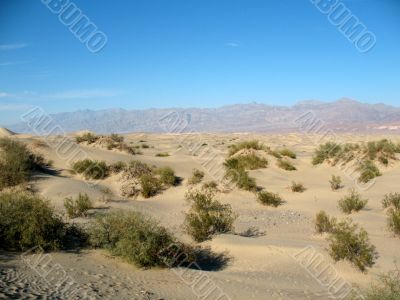 Sand dunes, Death Valley, California