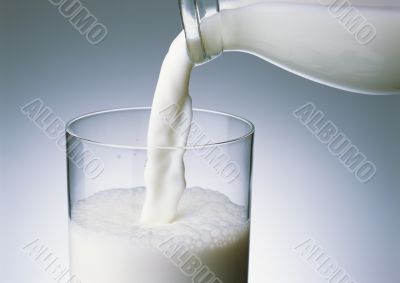 Fresh milk