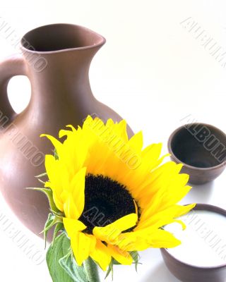 Sunflower Bran Flakes and Milk