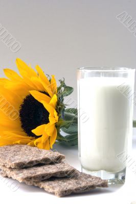 Sunflower Bran Flakes and Milk