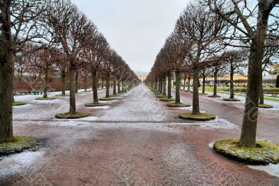Lane in winter