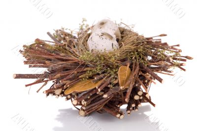 Bird nest