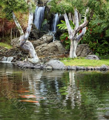 Japanese Garden