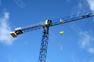 blue crane