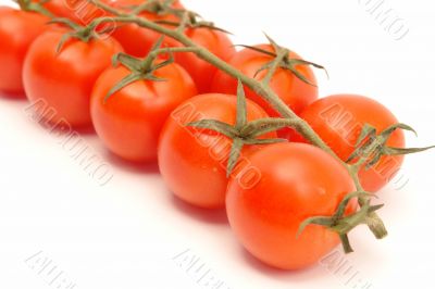 group of tomatoes