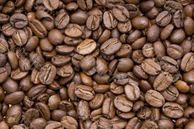 coffee beans