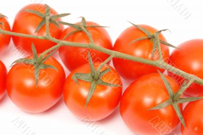 group of tomatoes