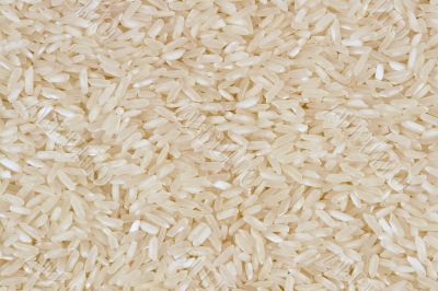 Rice background