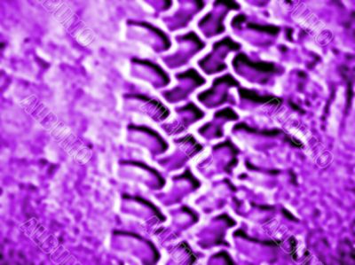 purple tyretracks