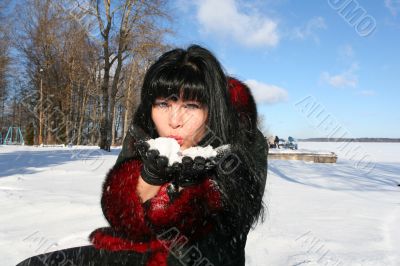 Blowing Snow. Winter`s picture