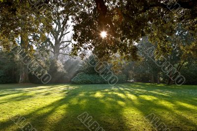 Park of castle of Chenonceau