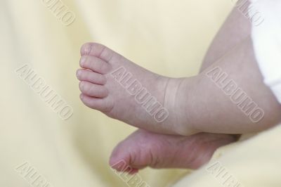 Baby`s Feet