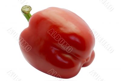 sweet peper