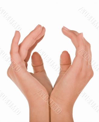Hands