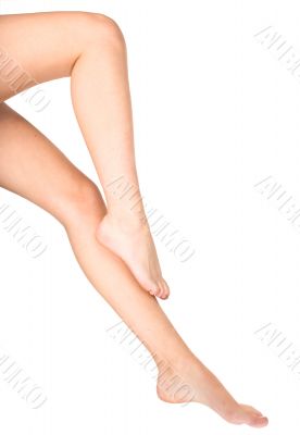 Legs