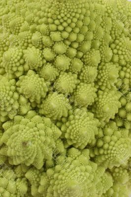 romanesco cauliflower background