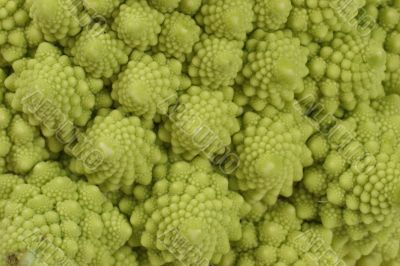 romanesco cauliflower background