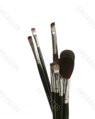 brushes