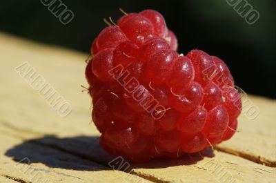 raspberry heart
