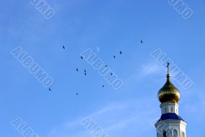 Birds on dome