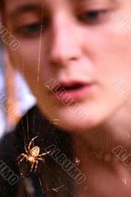 Girl looking at spider web