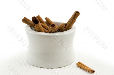 cinnamon bark