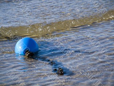 Blue buoy