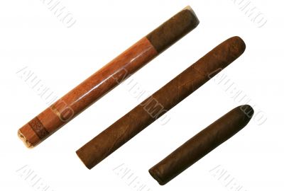 Three cigar