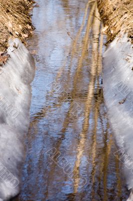 Spring riverbed