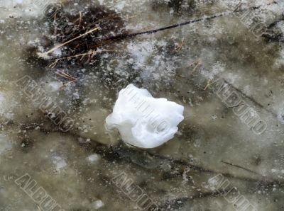 Last snow
