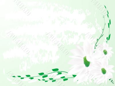 Abstract floral background
