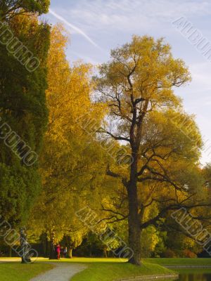 autumnal park